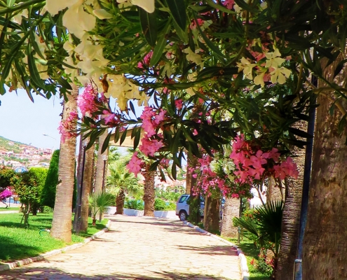 Park Türkei